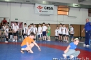 Gioco del Cerchio Faenza_11