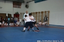 Gioco del Cerchio Faenza_37