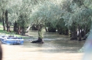 danubio_22