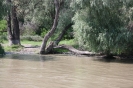 danubio_26