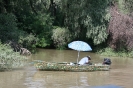 danubio_27