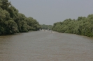 danubio_28