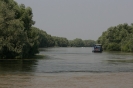 danubio_29