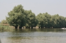 danubio_30