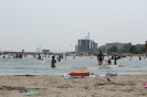mare_19