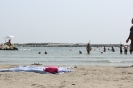 mare_21