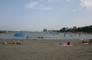mare_48