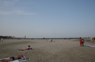 mare_49