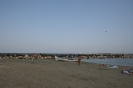 mare_51