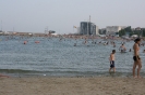 mare_61