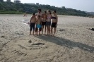 mare_63