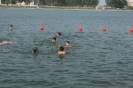 mare_6
