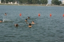 mare_7