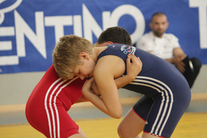 GELSO2013-86