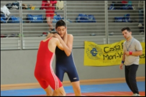 Trofeo il Gelso